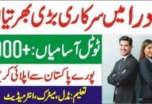 NADRA jobs