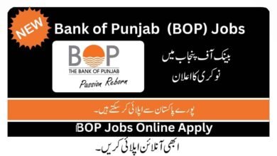 Jobs in Bank of Punjab 2023