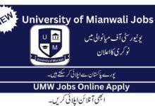 Govt Jobs in University of Mianwali