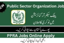 Public Sector Organization jobs