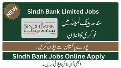 Sindh Bank Limited jobs
