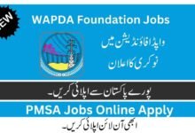 WAPDA Jobs Advertisement 2023