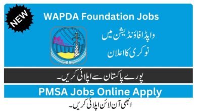 WAPDA Jobs Advertisement 2023