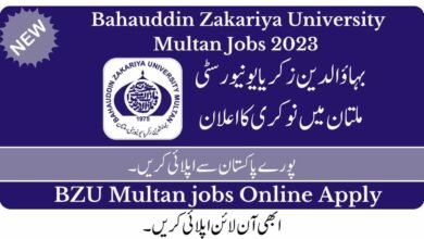 BZU Multan Jobs