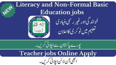 Literacy and Non-Formal Basic Education Jobs 2023