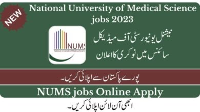 NUMS University jobs