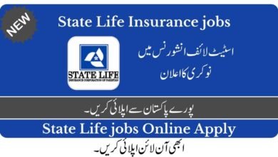 State Life Insurance Jobs