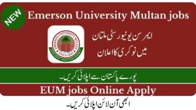 Emerson University Multan Jobs 2023 Advertisement