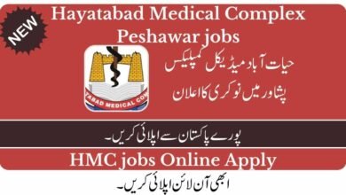 Hayatabad Medical Complex Peshawar Jobs 2023