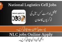 NLC Jobs