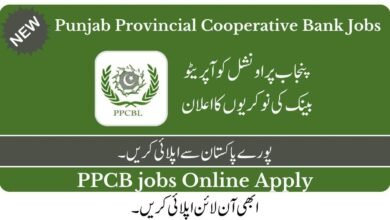 Punjab Provincial Cooperative Bank Jobs 2023