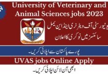 UVAS Jobs 2023 Advertisement