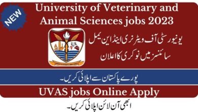 UVAS Jobs 2023 Advertisement