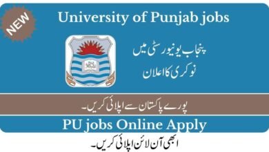 University of Punjab Jobs 2023
