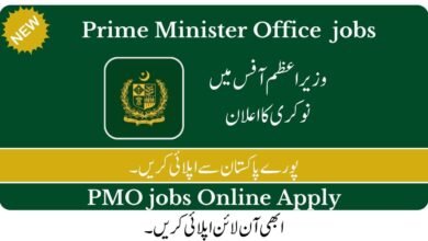 Prime Minister Office Jobs