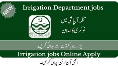 Punjab Irrigation Department Jobs
