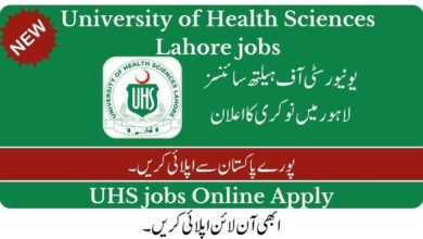 University of Health Sciences Lahore Jobs 2023 Advertisement