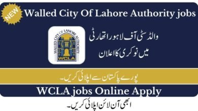 Walled City Of Lahore Authority Jobs