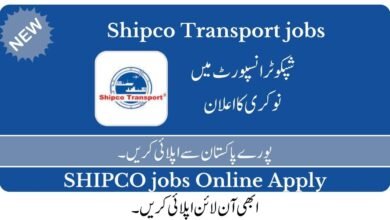 Shipco Transport Jobs