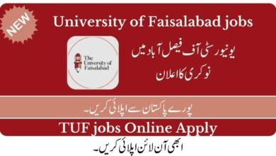 University of Faisalabad Jobs