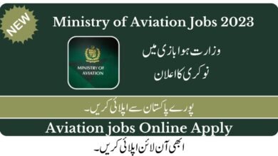 Ministry of Aviation Jobs