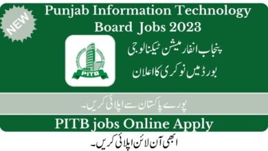 PITB Jobs